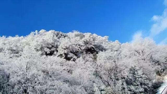求生指南：第三人称