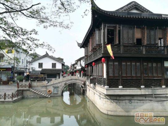 逃离仿真森林